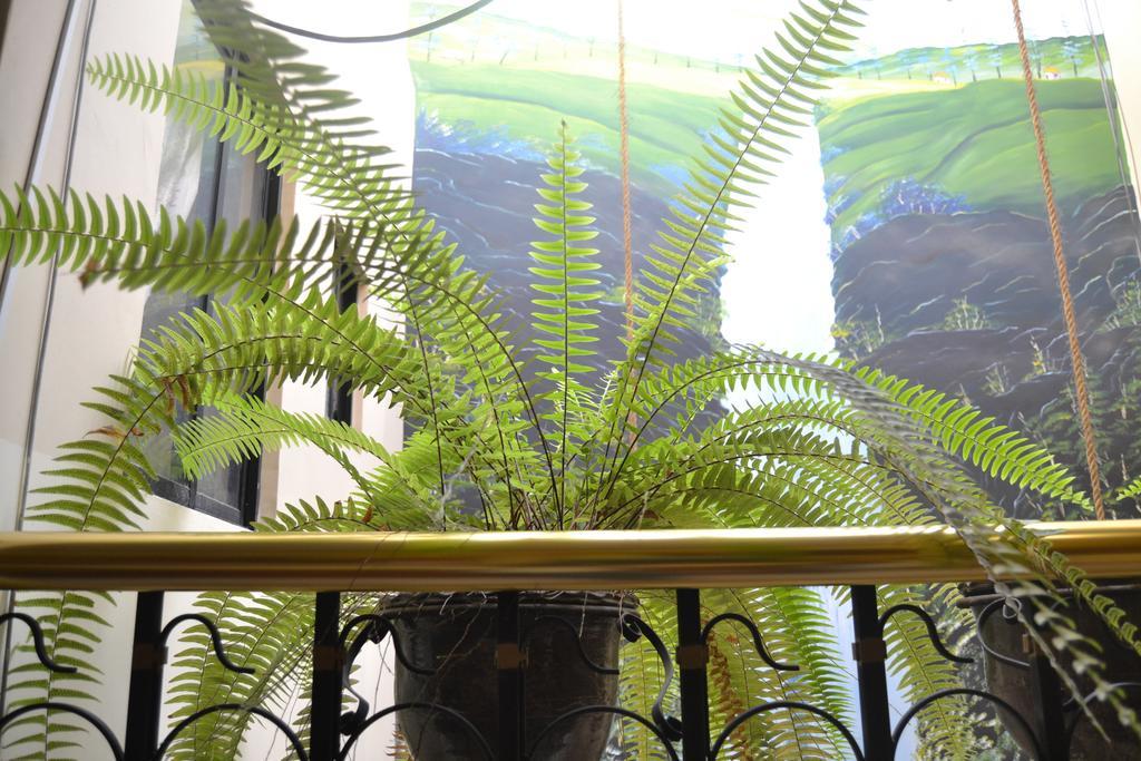 Mashy'S Hostal Otavalo Buitenkant foto